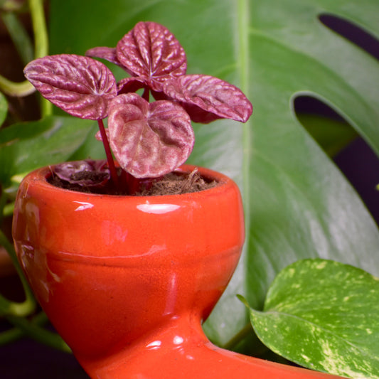 Vaso con Smalto a Colore Pieno